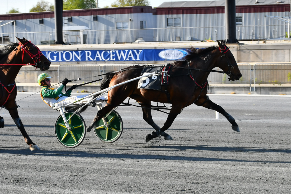 Tough New Zealand mare wins Open Pace