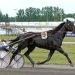 Mellby Jinx wins Nuncios Trot at Solvalla 1 Mellby Jinx wins Nuncios Trot at Solvalla