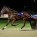 Paramount Kiwi wins his second Harness Million