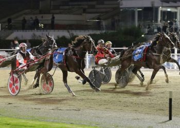 Paramount Kiwi goes four from five