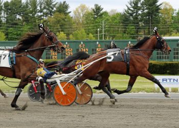 Late power moves take AHDC trots