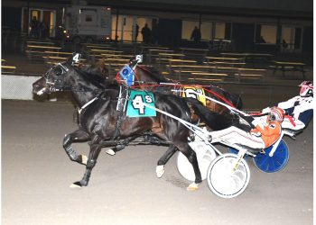 Prairie Panther best on Vernon opening day