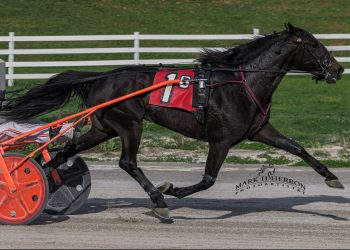 College Tuition carves out upset at Oak Grove