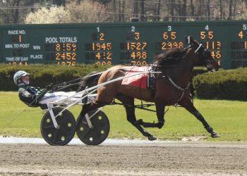 Newcomer Collin Workman loves the business