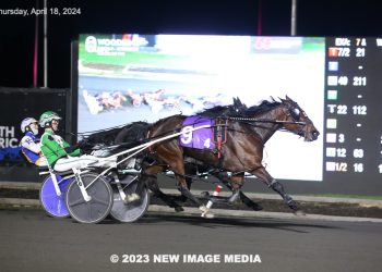 Right Match catching fire in Spring Series