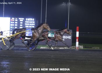 Three-year-olds battle in Spring Series