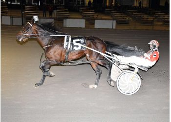 Lifetime best for Vernon feature winner