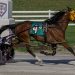 Oak Grove Racing has pair of $30,000 Opens 2 Oak Grove Racing has pair of $30,000 Opens