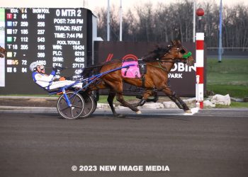 Royal Regatta wins seventh straight at Mohawk