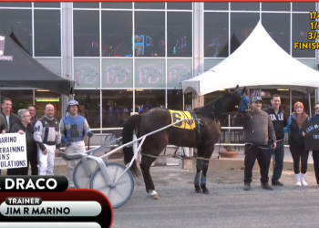 1,000 training wins for Marino