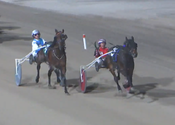 Hes Watching mare three-for-three with career best