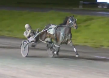 Back-to-back romps for In High Cotton