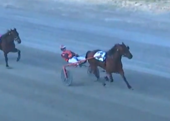 Johnny Buckshot hits the target again