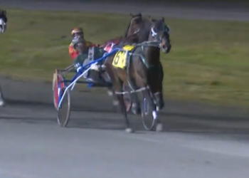 She’s certainly In High Cotton