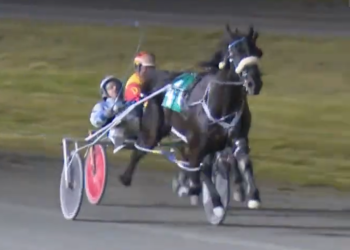 Sunshine Boy shines again