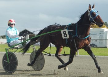 Dewe breaks the drought