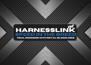 Speed in the Breed – Progeny of Katy Perry and Scorcha ready to fly