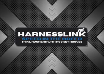 Speed in the Breed – Progeny of River Polka and Pure Opulence catch the eye