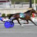 Sprocket cruises in Open Handicap Pace