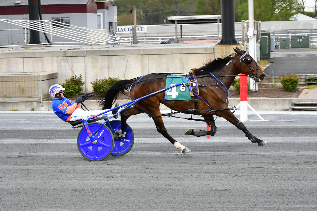 Sprocket cruises in Open Handicap Pace - Harnesslink