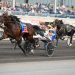 Reigning U.S. Trotter of the Year to stand Down Under