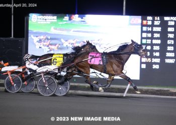 Cloud nine for Taurasi