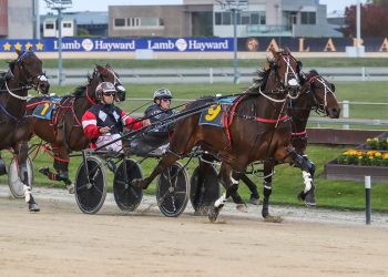 Dunns bank 300th winner