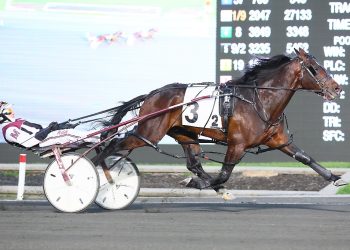 Stakes-winning stallion scores in Canadian Graduate