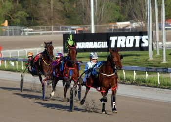 Abandoned Warragul Pacing Cup to be re-run in June