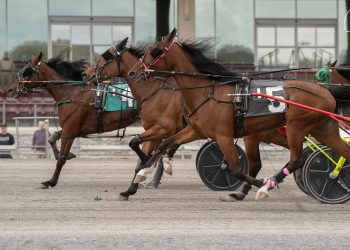 55-1 shocker in Margaret Provost Memorial