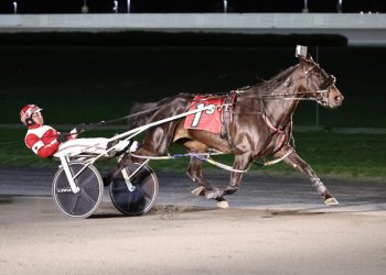 Lit De Rose becomes millionaire with Matchmaker victory