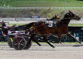 Late surge gets Open victory for Risenshine Seaside