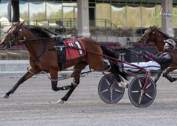 Ronnie Wrenn, Jr. notches 8,000th career win