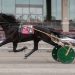 11-1 longshot upsets in Terry Altmeyer Series