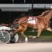 Hat trick for Gingras in Brennan Series