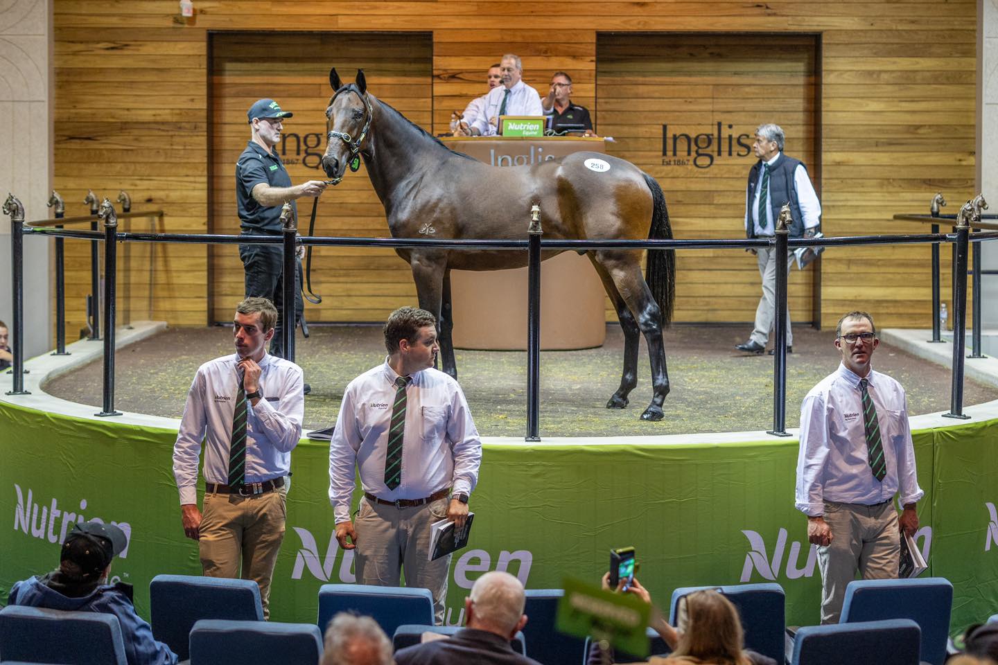 Quality yearlings sell well at Nutrien Melbourne sale