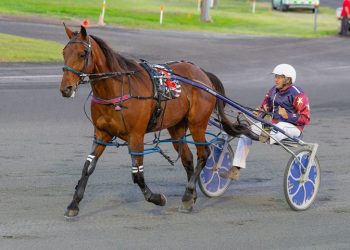 Veteran Maid marches to unlikely Trot Rods lead