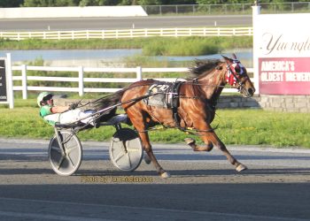 Career performance in Plainridge Open