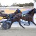 Bloxsome’s help leads to start in harness racing