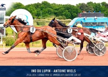 Uno du Lupin wins at Bordeaux