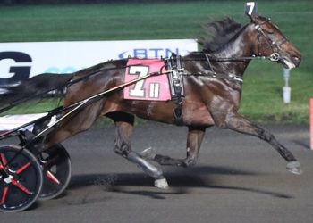 Walner mare scores with ease in $145,150 Cutler