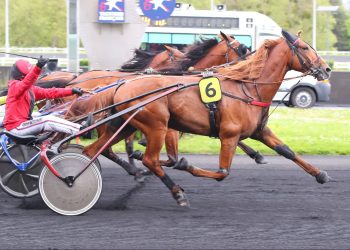 Three horse photo in Paris-Vincennes feature