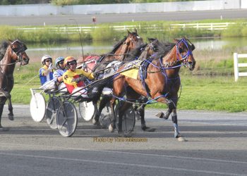 Lifetime mark taken in Plainridge feature