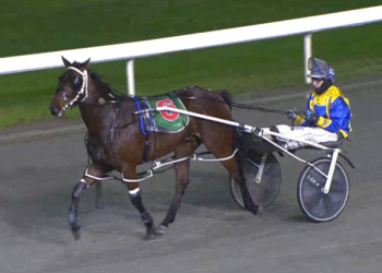 Lazarus youngster shows promise in the west