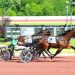 Trotters own the spotlight at Pocono Downs