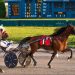 Kevin Cummings takes co-feature trot and pace