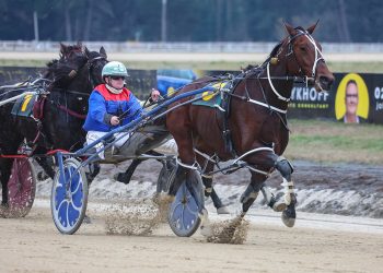 Clonakilty show class in final