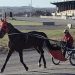 Bangor Raceway set to reopen Wednesday