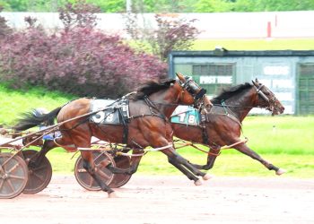 Captain Albano leads PASS winners at Pocono