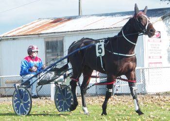 Whites on home track for Sunday